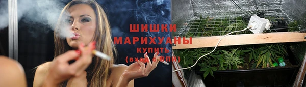 спиды Осташков