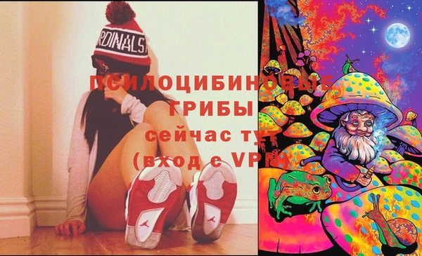 меф Осинники